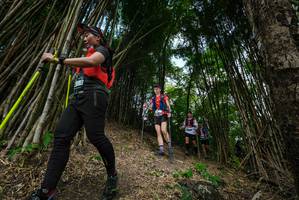 BIB: 
                            <button type="button" onclick="openModal(19395759)" class="btn btn-primary btn-sm float-right btn-popup" data-toggle="modal" data-target=".modal-high-quality">
                        <i class="fas fa-shopping-cart"></i> Add to Cart
                    </button>
                                            <button type="button" onclick="isThisMe(19395759, true)" class="btn btn-success btn-sm float-right btn-popup btn-isme hidden" data-toggle="tooltip" data-placement="bottom" title="นี่คือรูปของคุณใช่ไหม คลิกที่นี่เพื่อเอาเข้าอัลบั้ม">
                        <i class="fas fa-plus"></i> Add to album
                    </button>
                    <button type="button" onclick="isThisMe(19395759, false)" class="btn btn-warning btn-sm float-right btn-popup btn-isnotme hidden">
                        <i class="fas fa-ban"></i> Remove from album
                    </button>